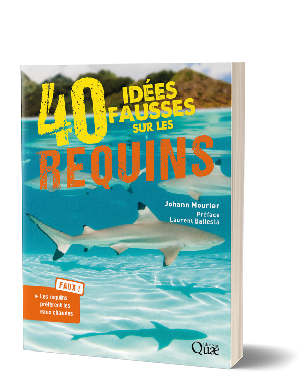 Couverture 40 idées fausses sur les requins