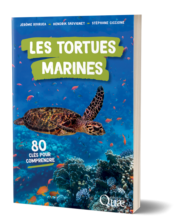 Couverture Les tortues marines